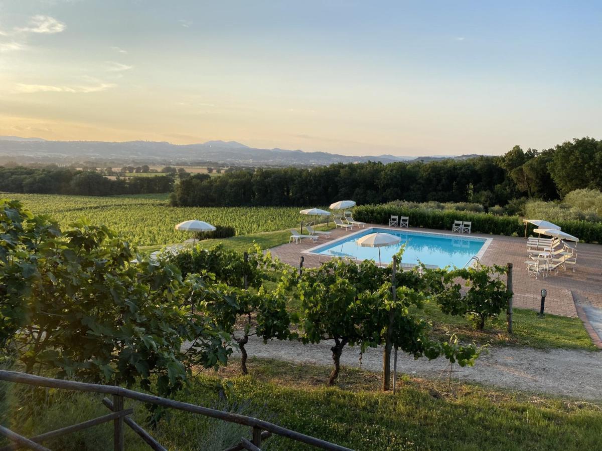 Poggio Alle Vigne Torgiano Exterior photo